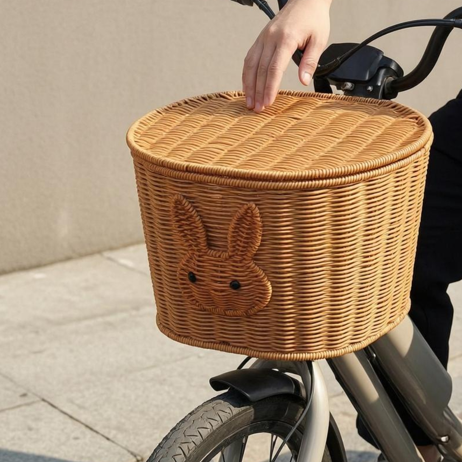 Rear Bike Basket with Lid Rear - Cycling Gear Rack 评论和价格